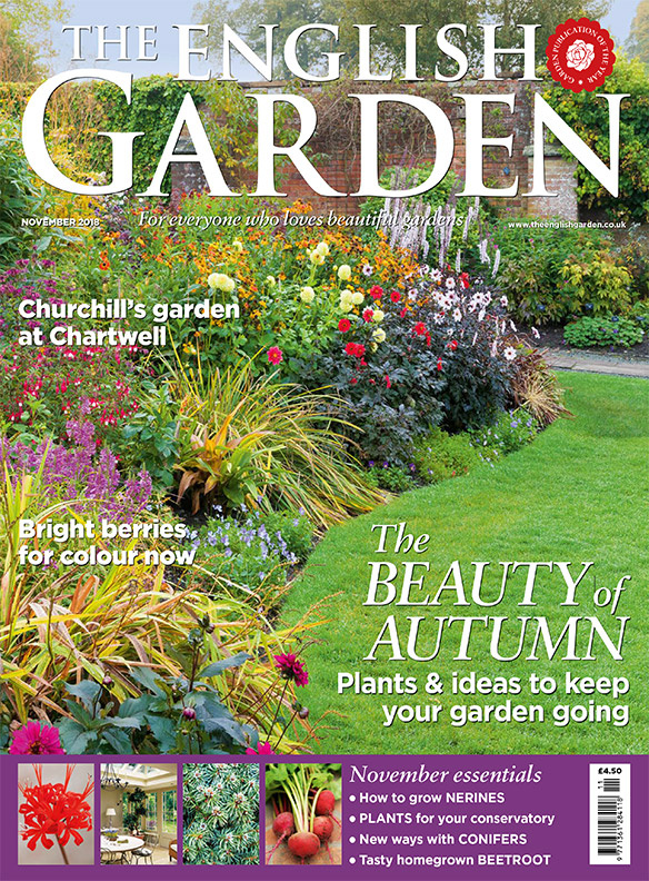 English Garden Dlt Ireland Magazine Subscription